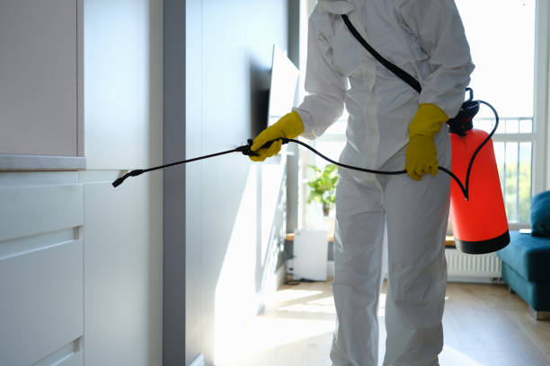 Crawl Space Mold Removal in North Cape May, NJ