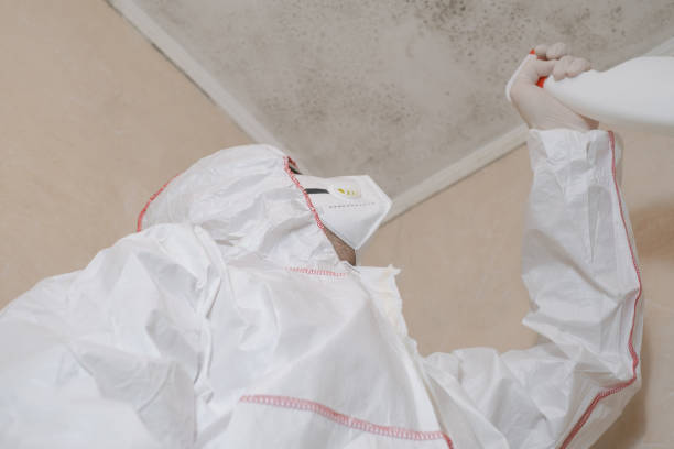 Best Certified Mold Removal  in North Cape May, NJ